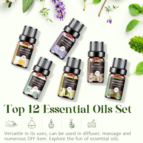 Essential Oils Set - 12 Pcs Aromatherapy Essential Oil Kit for Diffuser, Humidifier, Aromatherapy, Massage Aeshory uk supplements