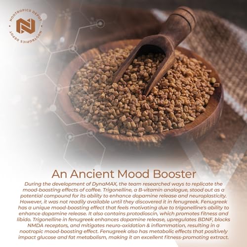 Nootropics Depot Fenugreek Extract Capsules | 500mg | 60 ct | 2.5% Trigonelline Nootropics Depot uk supplements