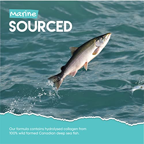 Marine Collagen Gummies by Jolly Jelly® - Wild-Caught Marine Collagen Tapioca Gummies - Type 1 Hydrolysed Collagen - Strawberry Flavour - 60 Gummies. JOLLY JELLY uk supplements