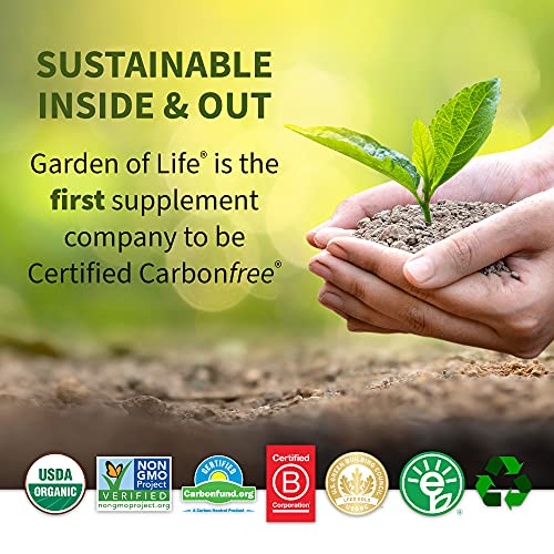 Garden of Life Raw Organic Fit Vegan Protein Powder Original, 28g Plant Based Protein Garden of Life uk supplements