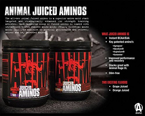 Animal Creatine Chews Tablets - Enhanced Creatine Monohydrate with AstraGin to Improve Animal uk supplements