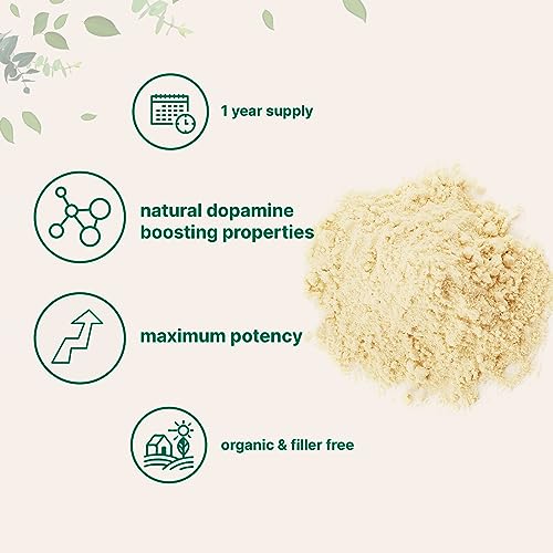 Micro Ingredients Organic Mucuna Pruriens Extract Powder,1 Pound (908 Servings) Micro Ingredients uk supplements