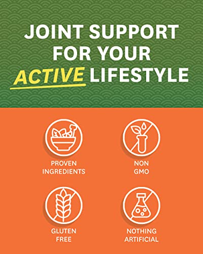 Zenwise Health Glucosamine Chondroitin MSM - Joint Support Supplement with Turmeric Zenwise Health uk supplements