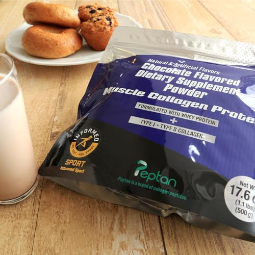 Muscle Colllagen Protein Collagen Peptides Powder Chocolate Flavored Dietary Supplement Muscle Collagen uk supplements