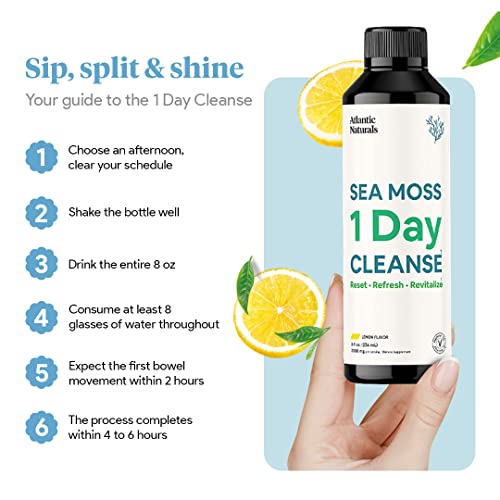 Sea Moss 1 Day Cleanse - Full Body Detox to support bowel movements, Kidney Health Atlantic Naturals uk supplements