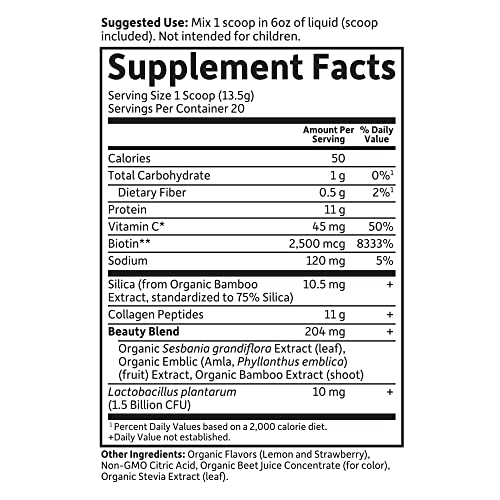 Garden of Life Grass Fed Collagen Beauty - Strawberry Lemonade, 20 Servings - Collagen Garden of Life uk supplements
