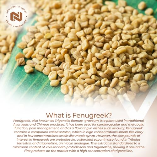 Nootropics Depot Fenugreek Extract Capsules | 500mg | 60 ct | 2.5% Trigonelline Nootropics Depot uk supplements