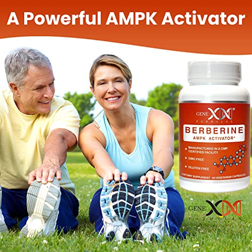 GENEX Berberine HCl 500mg (90 Capsules) | Powerful AMPK Activator, Supports Heart Genex Formulas uk supplements
