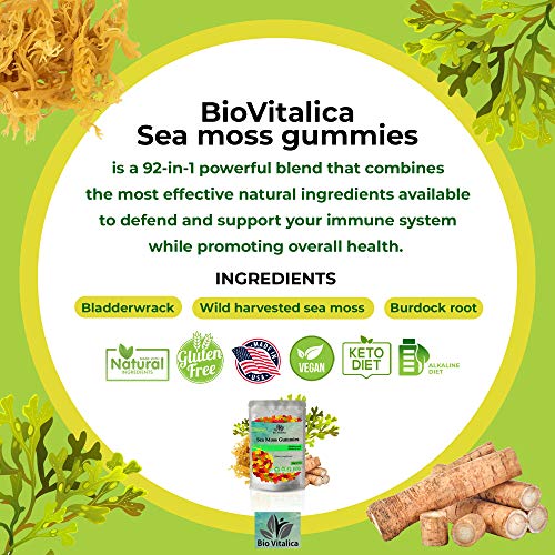 Sea Moss Gummies - Irish sea Moss raw Organic, Bladderwrack, Burdock Root BIO VITALICA uk supplements