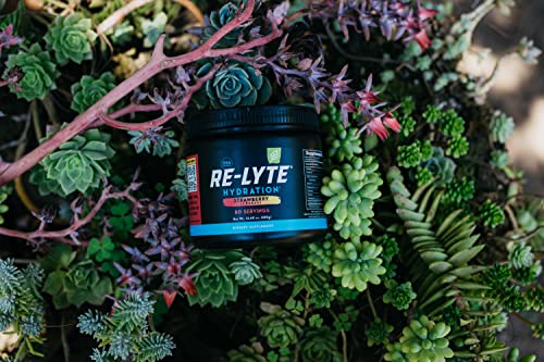 REDMOND Re-Lyte Hydration Electrolyte Mix (Strawberry Lemonade) REDMOND uk supplements