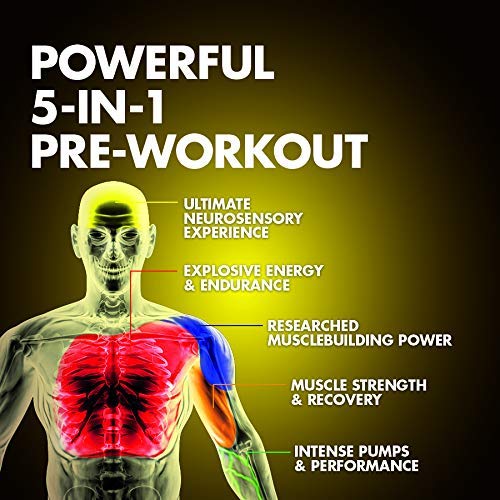 Pre Workout Powder | MuscleTech Vapor X5 for Men & Women, Energy Drink Mix Sports MuscleTech uk supplements