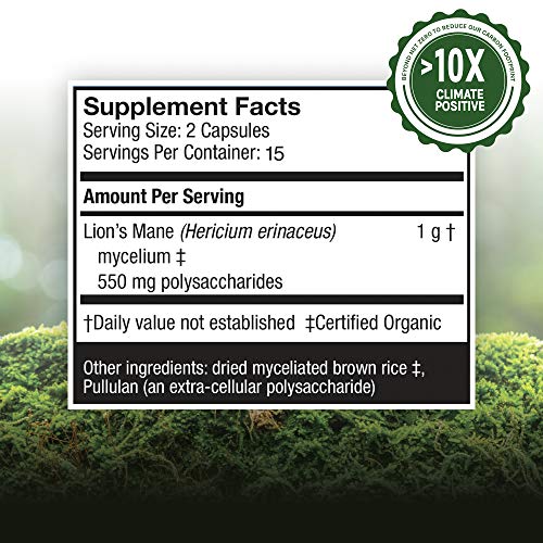 Host Defense, Lion's Mane Capsules, Promotes Mental Clarity, Focus and Memory Host Defense uk supplements