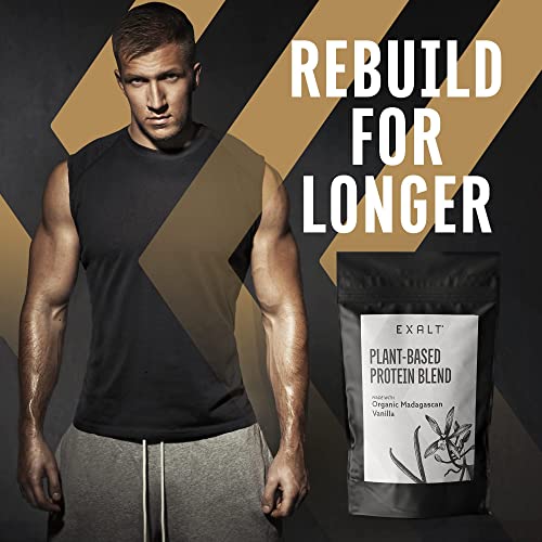 EXALT Vegan Protein Powder - 100% Plant-Based – Gluten Free - Keto Friendly EXALT uk supplements