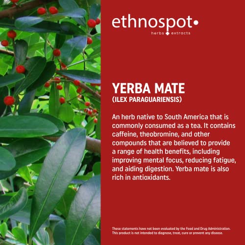 Full Spectrum Yerba Mate Capsules - Boosts Energy & Mental Focus - Supports Health Ethnospot uk supplements