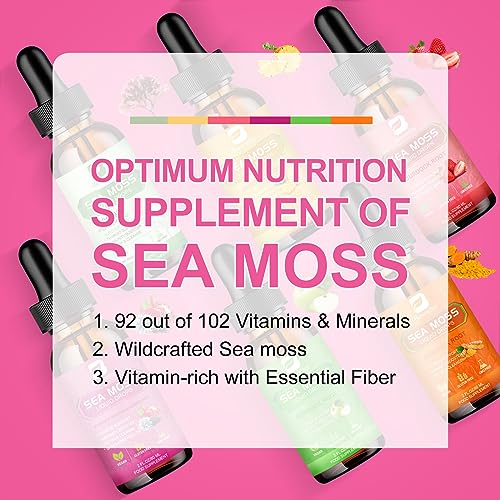 3000mg Sea Moss Liquid Drops - Black Seed Oil & Irish Sea Moss Gel B BEWORTHS uk supplements