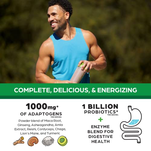 Orgain Organic Perfect Meal Replacement Protein Powder, Chocolate - 25g Plant Based Orgain uk supplements