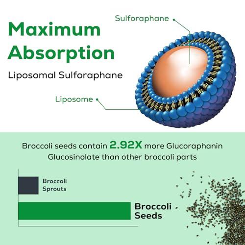 Osasuna Liposomal Sulforaphane 450MG, Maximum Absorption, 360 Softge Osasuna uk supplements