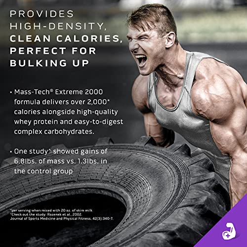 MuscleTech Mass Gainer Protein Powder, Mass-Tech Extreme 2000, Muscle Builder MuscleTech uk supplements