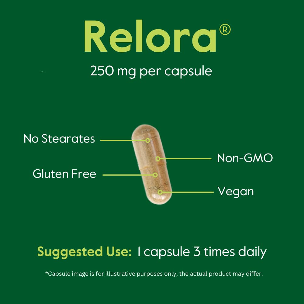 BESTVITE Filler-Free Relora 250mg (240 Vegetarian Capsules) (120 x 2) – Clinically Researched – No Stearates – Vegan – No Fillers – Supports the Management of Occasional Stress* BESTVITE uk supplements