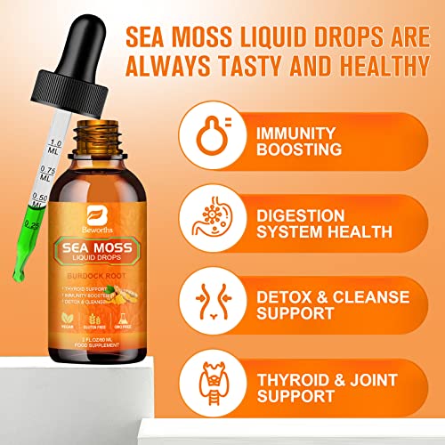 B BEWORTHS Sea Moss Liquid Drops - Organic Irish Sea Moss Raw Gel with Burdock Root B BEWORTHS uk supplements
