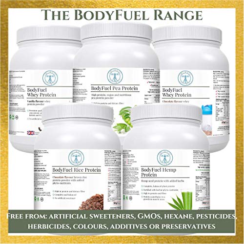 Complementary Supplements - BodyFuel Whey Protein Isolate & Concentrate Chocolate Flavour Complementary Supplements uk supplements
