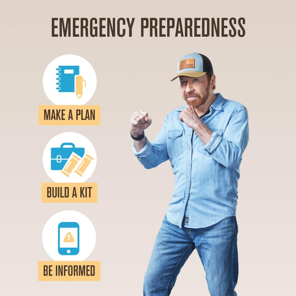 Roundhouse Provisions by Chuck Norris Emergency Food Bars - High Calorie Lemon Shortbread, 14 Vitamins & Minerals - Whole Grain Sorghum, 5-Year Shelf Life - Survival Rations for Crisis & Adventure ROUNDHOUSE PROVISION uk supplements