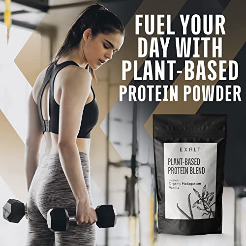 EXALT Vegan Protein Powder - 100% Plant-Based – Gluten Free - Keto Friendly EXALT uk supplements