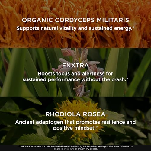 The Genius Brand Rise + Shine Nootropic – Cordyceps & Rhodiola Rosea – Caffeine-Free Energy & Mood Support – Focus, Clarity & Emotional Balance – 30 Servings The Genius Brand uk supplements