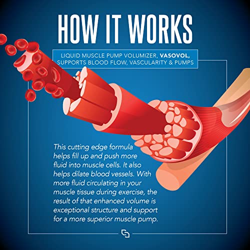 Siren Labs Vaso-VOL Liquid Muscle Pump Volumizer with Agmatine Sulfate - Pre Workout SIRENLABS uk supplements