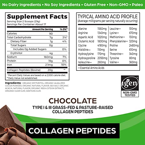 Orgain Hydrolyzed Collagen Powder, 20g Grass Fed Collagen Peptides, Chocolate Orgain uk supplements