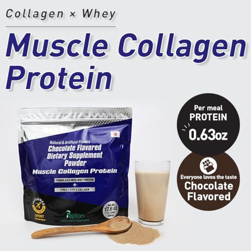 Muscle Colllagen Protein Collagen Peptides Powder Chocolate Flavored Dietary Supplement Muscle Collagen uk supplements