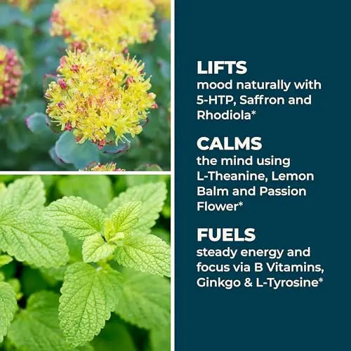 LifeSeasons - Mood Stabili-T - Positive Mood Booster - Enhanced Calmness and Happiness - Relaxed and Balanced Mind LifeSeasons uk supplements