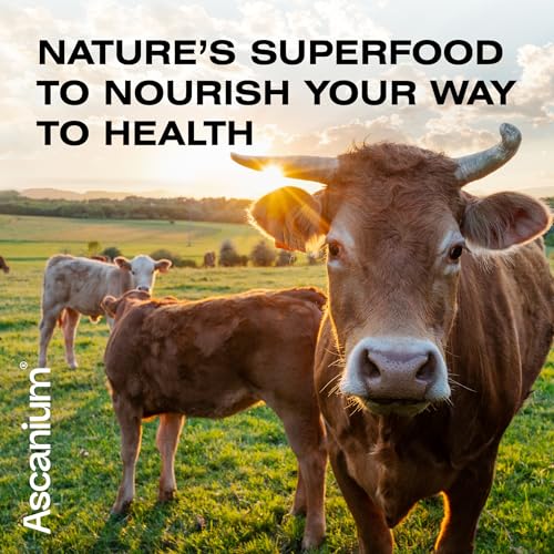 Colostrum Powder - Grass-Fed 40% IgG Colostrum Supplement Powder - Bovine Ascanium uk supplements