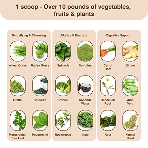 Detox Organics Chocolate Superfood Powder, Detox Cleanse for your Body, Bloating Relief Detox Organics uk supplements