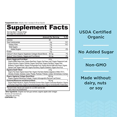 Ancient Nutrition Supergreens Powder, Organic Superfood Powder with Collagen Ancient Nutrition uk supplements