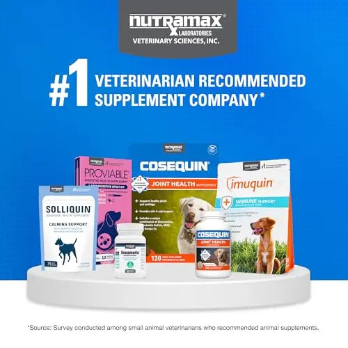 Nutramax Cosequin for Dogs Joint Health Supplement, Contains Glucosamine for Dogs, Plus Chondroitin, MSM and HA, Supports Healthy Joints, Chewable Tablets, 75 Count Nutramax Laboratories uk supplements
