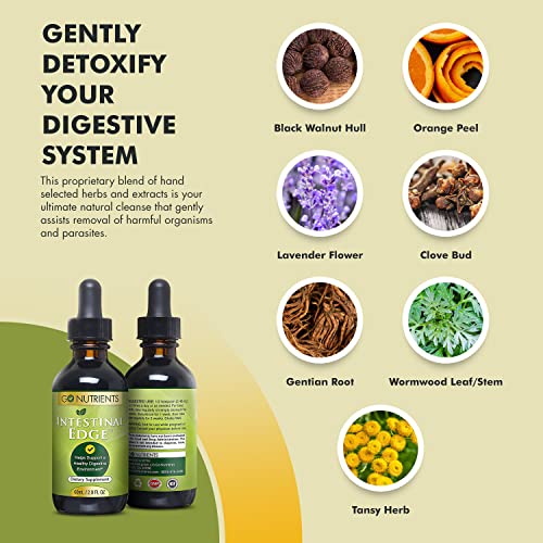 Go Nutrients Intestinal Edge Gut Detox Cleanse for Humans: Enhance Digestive Go Nutrients uk supplements