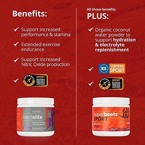 humanN SuperBeets Sport Pre Workout Powder – NSF Certified for Sport – Caffeine Free humanN uk supplements