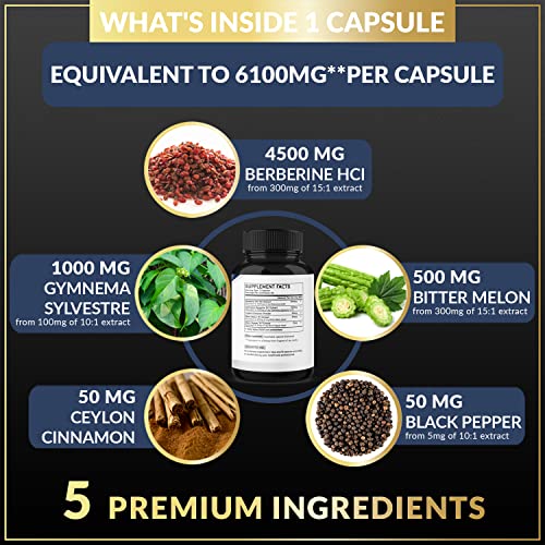 BMVINVOL 5-in-1 Berberine Supplement 6100mg with Ceylon Cinnamon, Gymnema Sylvestre BMVINVOL uk supplements