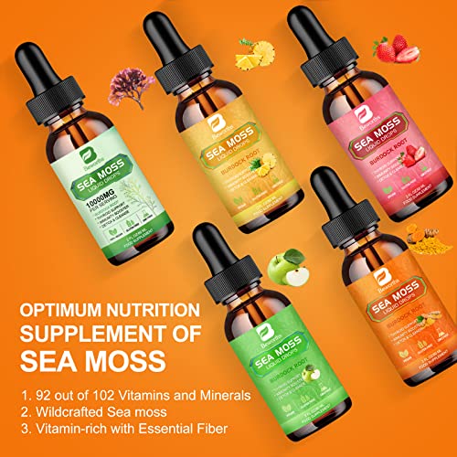 B BEWORTHS Sea Moss Liquid Drops - Organic Irish Sea Moss Raw Gel with Burdock Root B BEWORTHS uk supplements