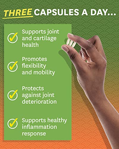 Zenwise Health Glucosamine Chondroitin MSM - Joint Support Supplement with Turmeric Zenwise Health uk supplements