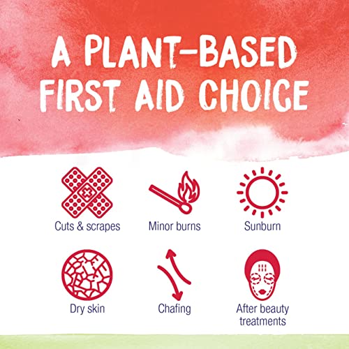 Boiron Calendula Cream for First Aid, Minor Burns, Cuts, Scrapes, Insect Bits and Sunburn - 2.5 oz Boiron uk supplements