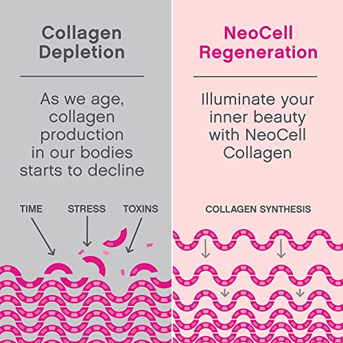 NeoCell Super Collagen Powder, Collagen Plus includes Vitamin C & Hyaluronic Acid NeoCell uk supplements