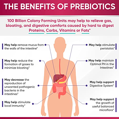 Dr. Formulated Raw Probiotics for Women 100 Billion CFUs with Prebiotics Wholesome Wellness uk supplements