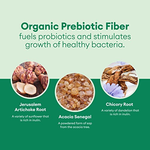Physician's CHOICE Probiotics for Weight Management & Bloating- 6 Probiotic Strains Physician's CHOICE uk supplements