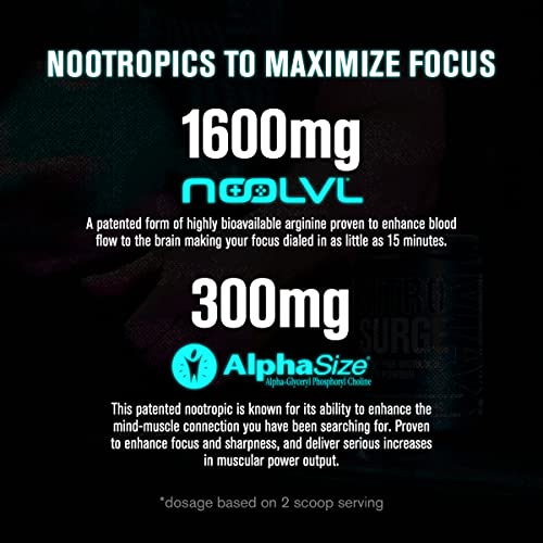 Jacked Factory Nitrosurge Max Nootropic Pre Workout Powder - Premium Pre Workout Jacked Factory uk supplements