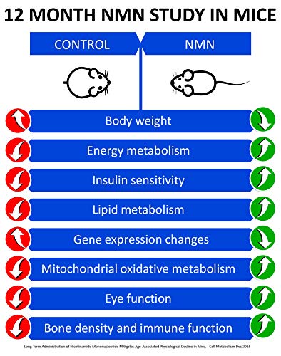 MAAC10 NMN Supplement Real Nicotinamide Mononucleotide (NMN 125mg Capsules). The Most Powerful NAD+ Precursor More Stable Than Riboside. We use 99% Pure Pharmaceutical Grade Stabilized NMN (30 Count) MAAC10 uk supplements