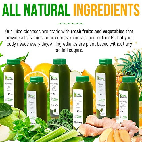 Raw Fountain 7 Day Green Juice Cleanse, All Natural Raw, Vegan Detox, Cold Pressed Raw Fountain uk supplements