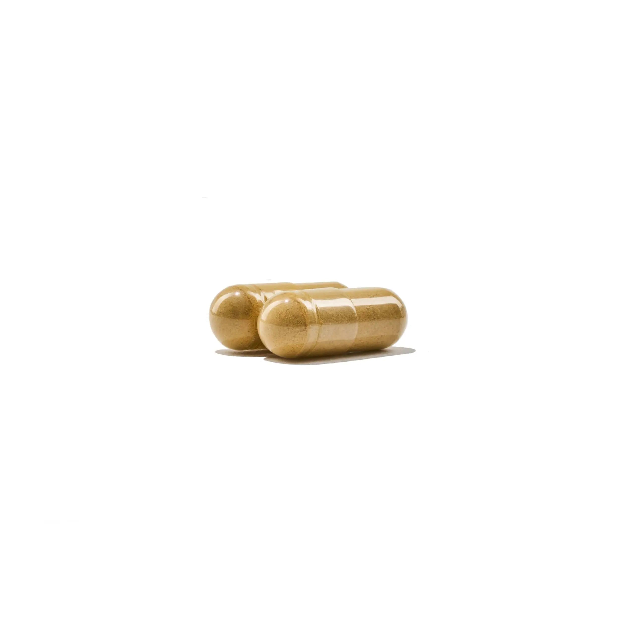 NatureWise Multivitamin for Men - Daily Male Support - Minerals & Herbs for Energy, Performance, Immunity - with Vitamin A, C, D, B-Complex NatureWise uk supplements