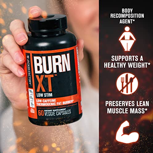 Jacked Factory Burn-XT Low Caffeine, Low Stim Weight Loss Supplement Jacked Factory uk supplements